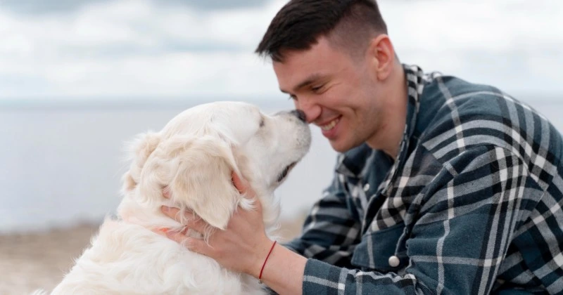 Dog with its hooman