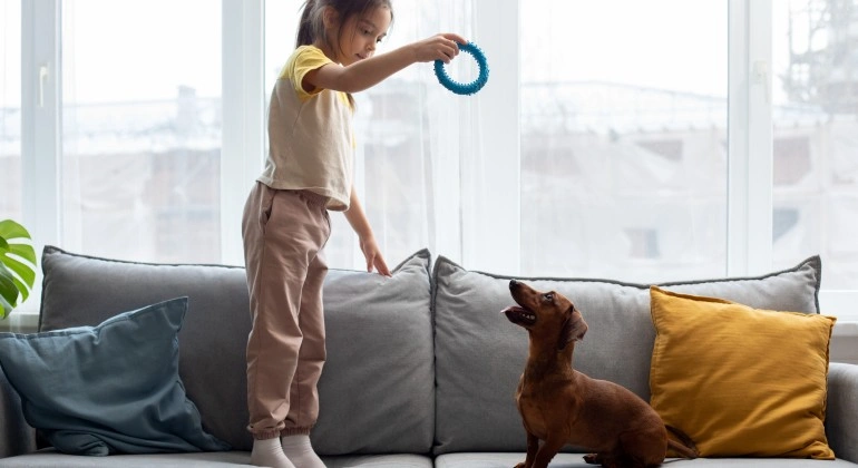 Conclusion - Building a Lifelong Bond with Your Dog