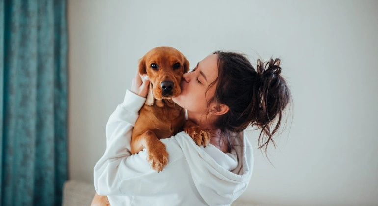 How Do Dogs Show Affection to Their Owners?