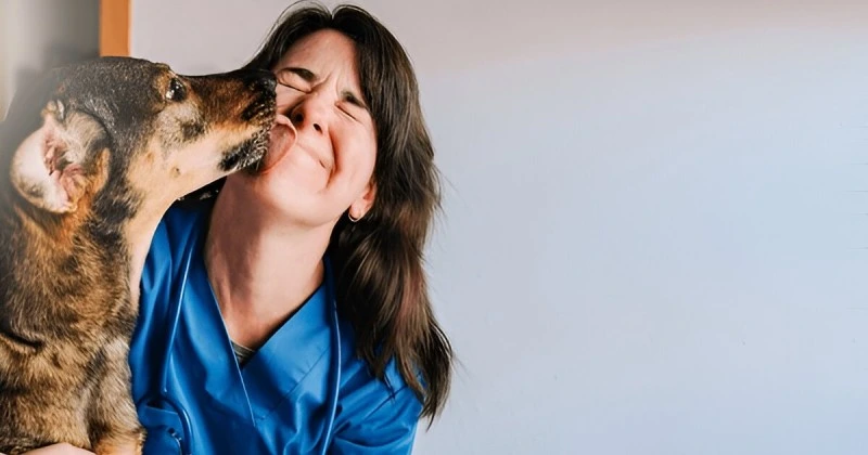 Aftercare - What to Expect Post-Neutering