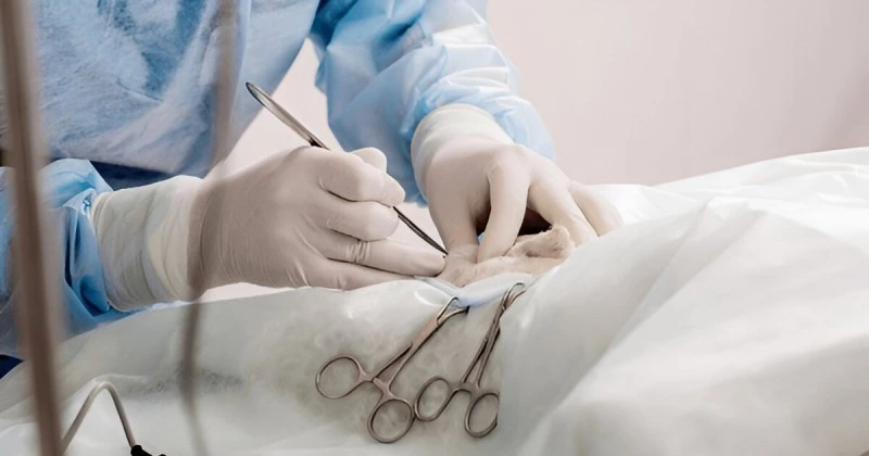 The Neutering Procedure
