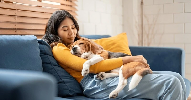 Comforting and Supporting Your Dog