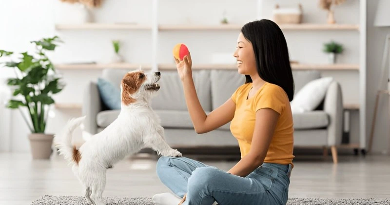 Behavioral and Physical Changes