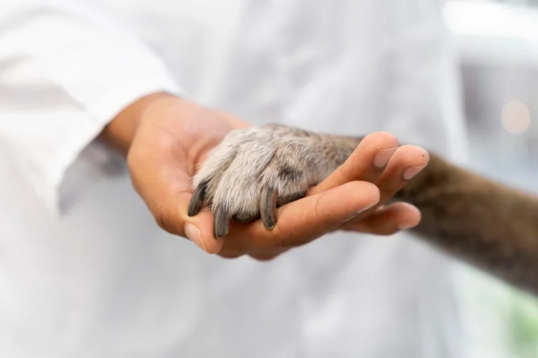 Signs Your Dog Needs to Be Neutered - Featured image