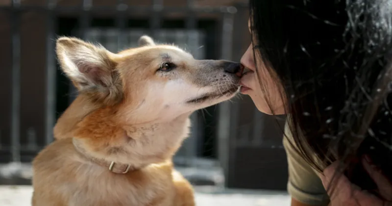 close up pet lifestyle
