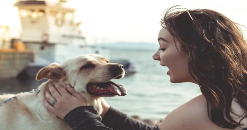 side view smiling young woman holding dog beach