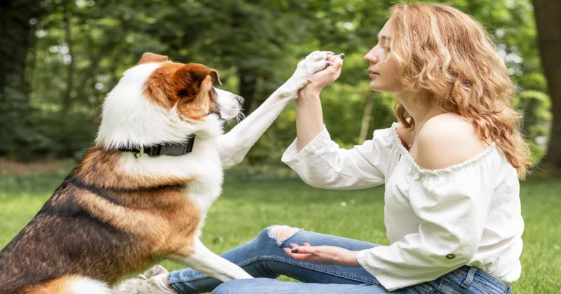 woman playing with her best friend park